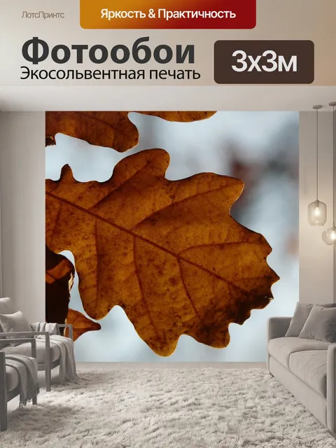 Фотообои Дубовые листья