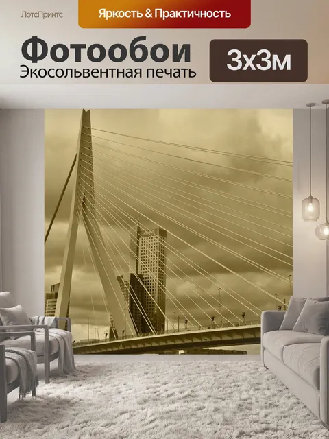 Фотообои Мост эразма