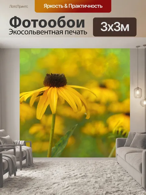 Фотообои Блоссом цветник природа