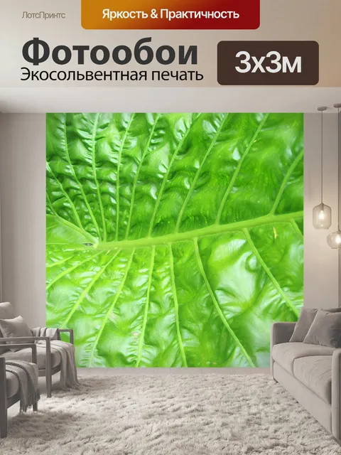 Фотообои прожилках листьев