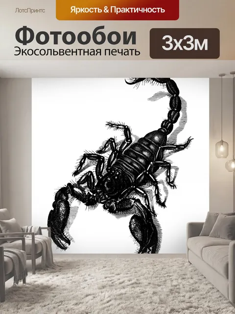 Фотообои Клипарт скорпион винтажное искусство