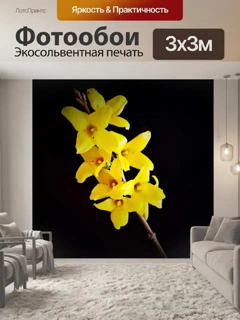Фотообои Цветок