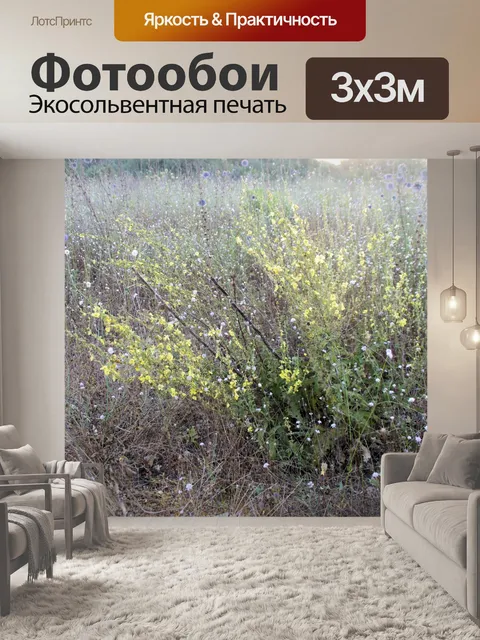 Фотообои Сорняки и полевые цветы