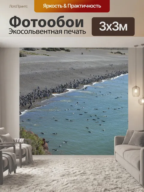 Фотообои Пингвины