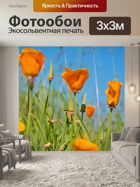 Фотообои Желтые маки