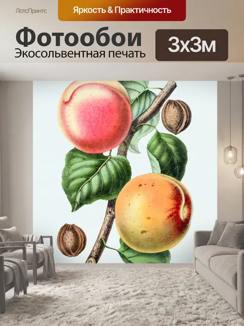 Фотообои Персики фрукты фрукты арт