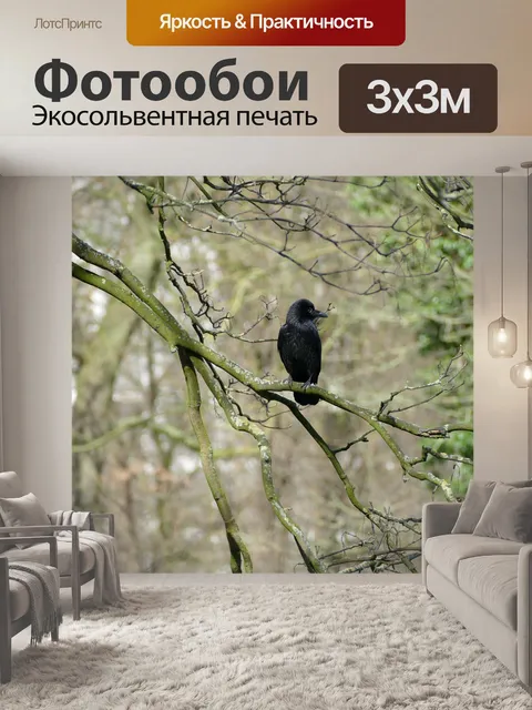 Фотообои Птица
