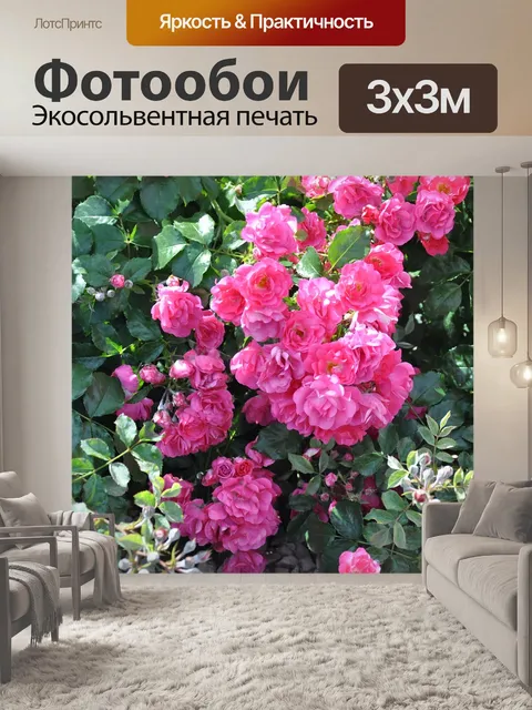 Фотообои Розы