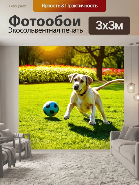 Фотообои лабрадор ретривер, активно играющий с мячом в парке, окружённый зелеными лужайками и цветами