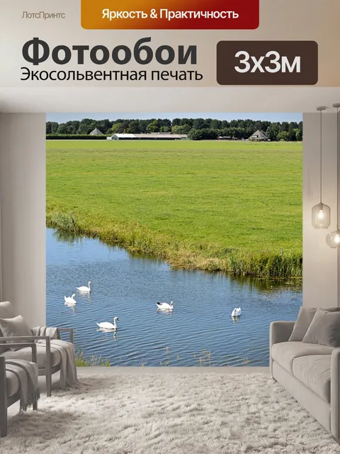Фотообои Лебеди