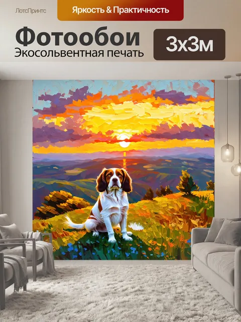 Фотообои сцена, где спаниель наблюдает за закатом, стоя на холме