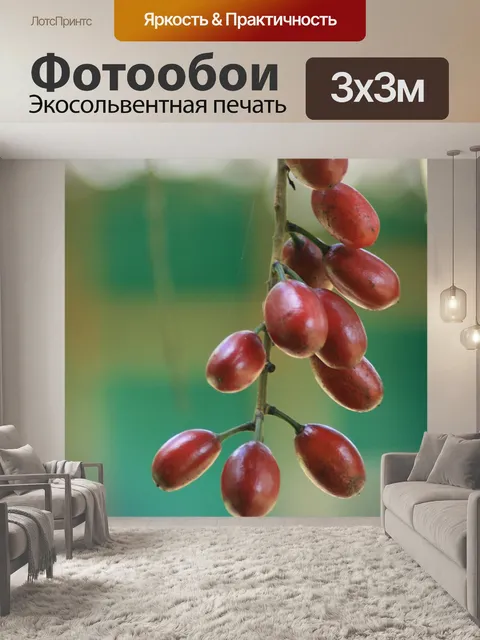 Фотообои Эквадор