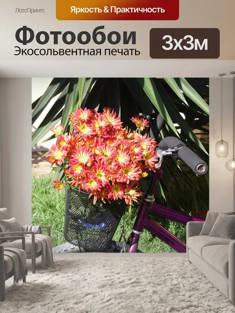 Фотообои Велосипед