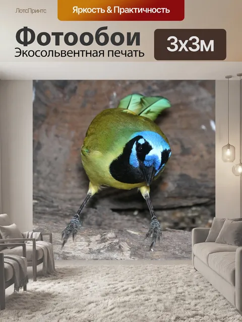 Фотообои Зеленая птица