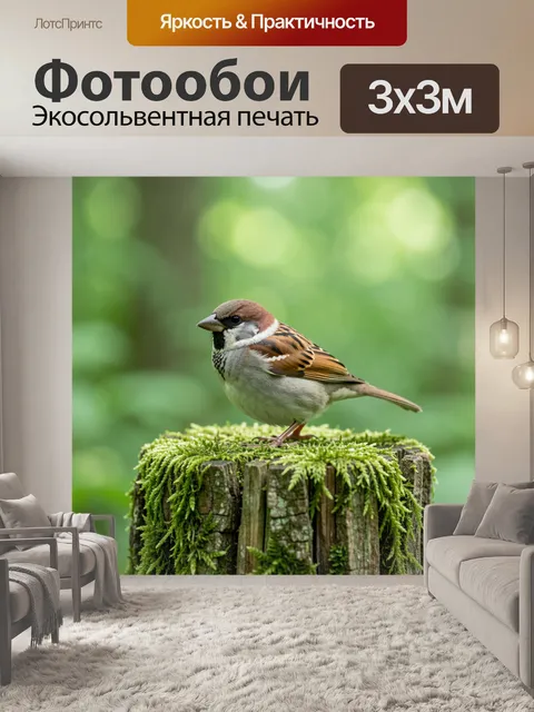 Фотообои Воробей на мшистом пне