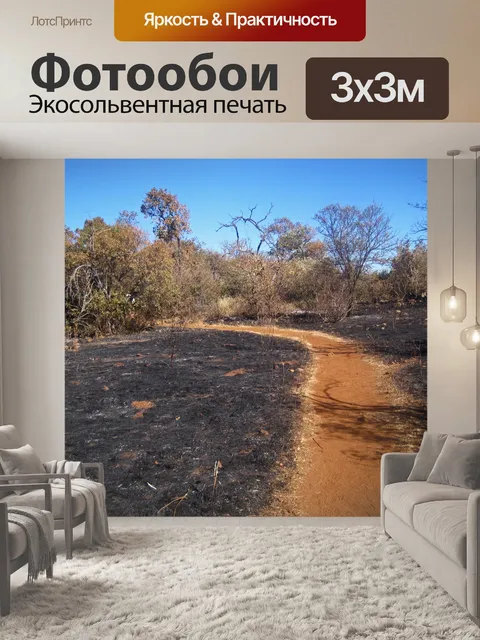 Фотообои путь, изгибающийся в кусты