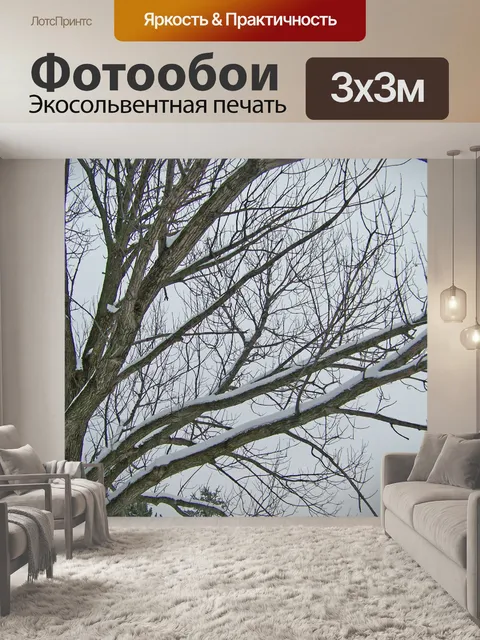 Фотообои Снег на Филиалы