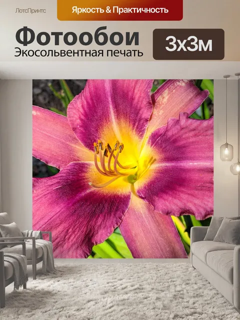 Фотообои Розовый цветок лилии