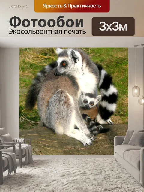 Фотообои Лемуры