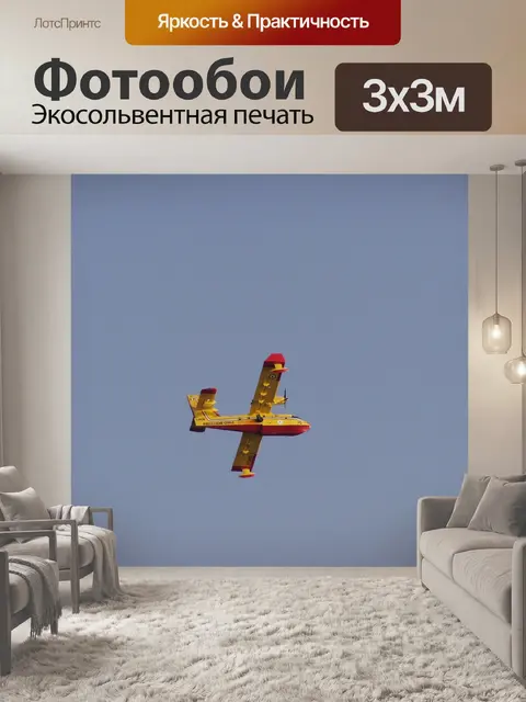 Фотообои Canadair