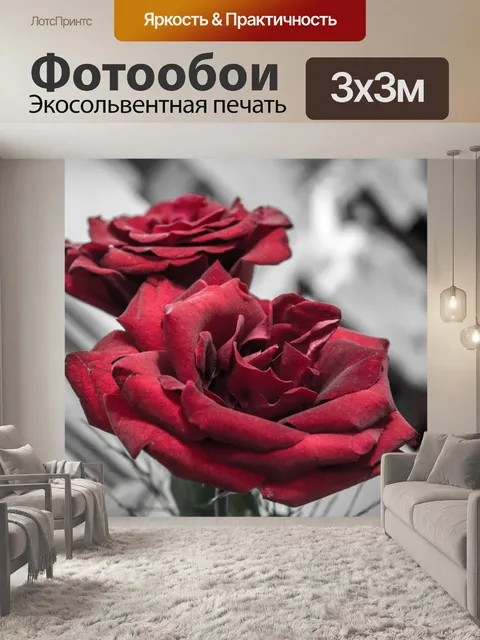 Фотообои Красные розы