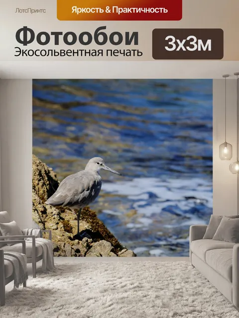 Фотообои Серый Вейдер на море