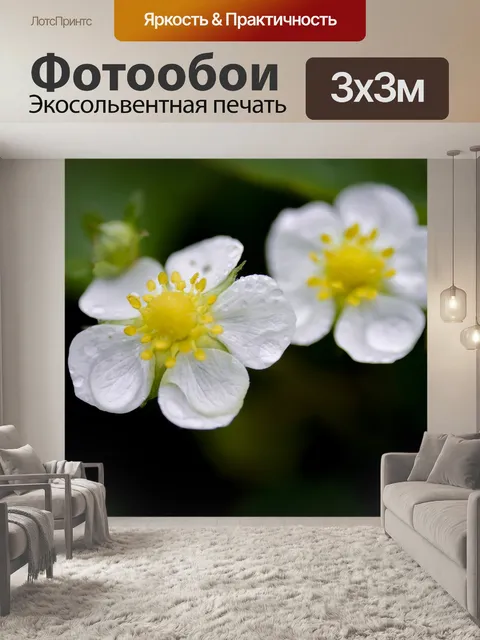 Фотообои Клубника