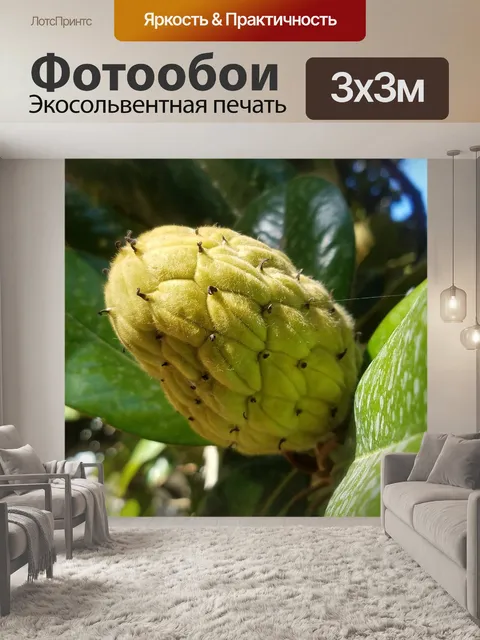 Фотообои Сад