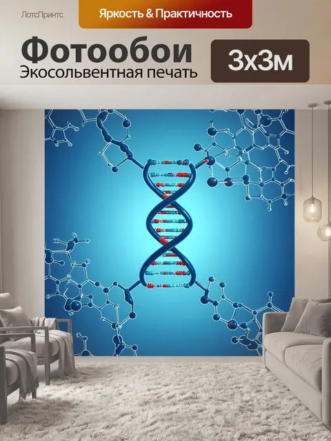 Фотообои молекулы днк в состоянии диаграммы