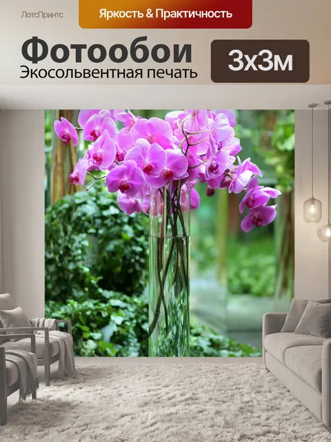 Фотообои Орхидея