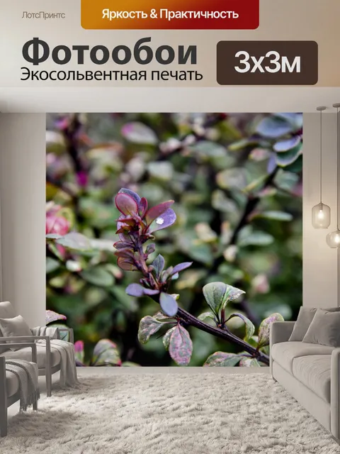 Фотообои Зеленые и красные листья