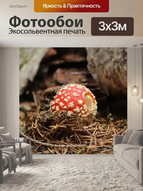 Фотообои Сказка