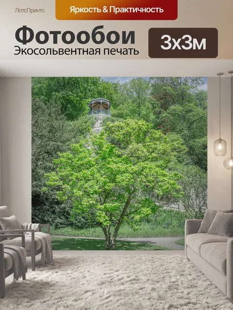 Фотообои Дерево