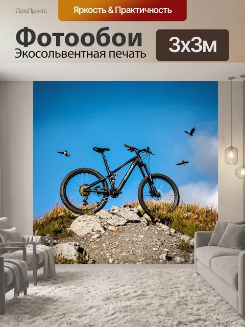 Фотообои горный велосипед, находящийся на горной пике, с птицами в небе