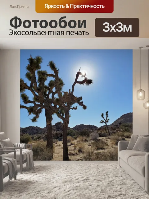 Фотообои Пейзаж Пустыни Джошуа-Три