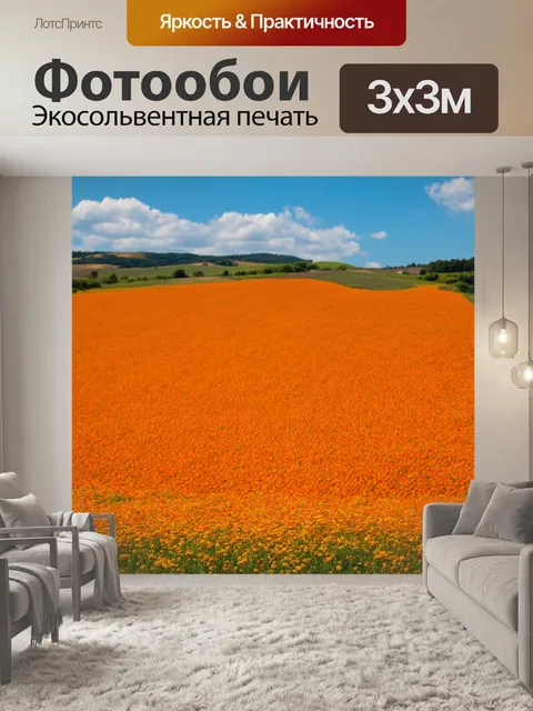 Фотообои оранжевый цвет: вид на оранжевые поля под солнечным небом с маленькими белыми облаками