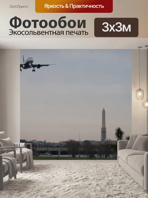 Фотообои Самолет посадку в Вашингтоне