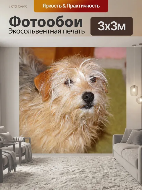 Фотообои Собака