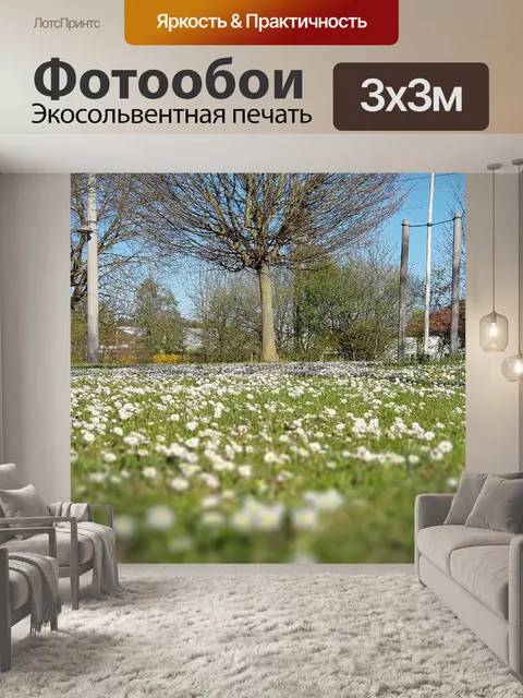 Фотообои Цветы