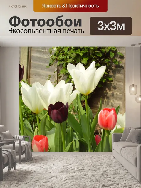 Фотообои Тюльпаны