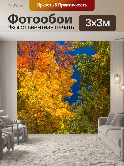 Фотообои Осень вид сени