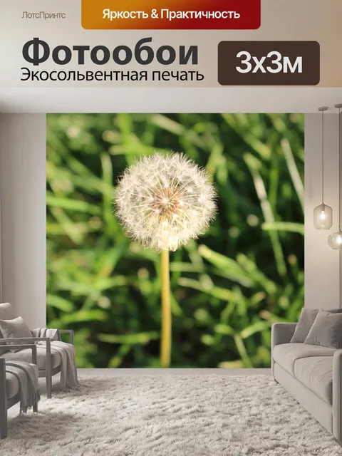 Фотообои Одуванчик