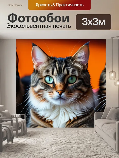 Фотообои с котами