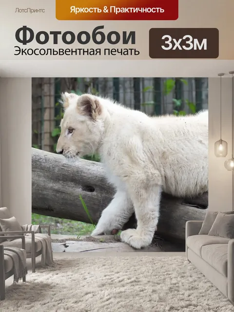 Фотообои Львенок
