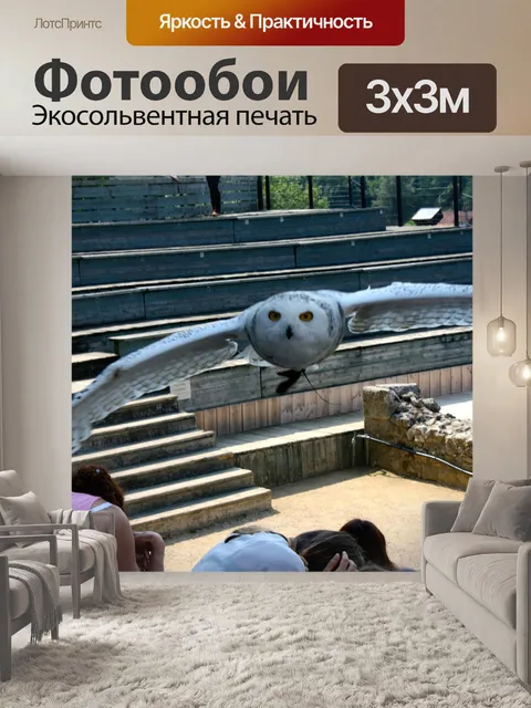 Фотообои Сова