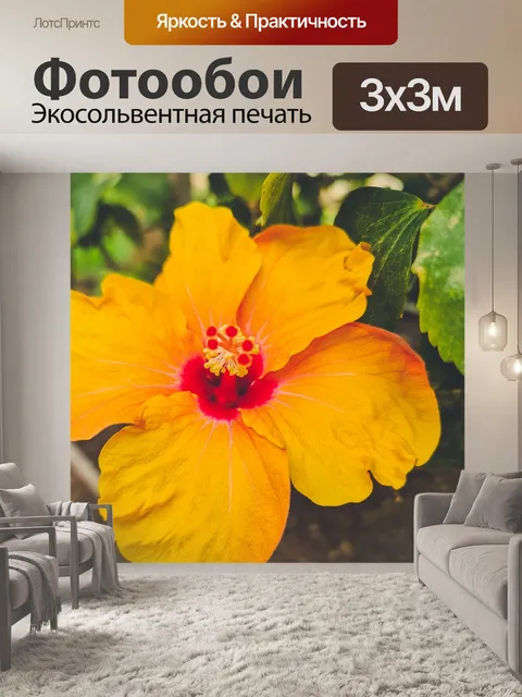 Фотообои Желтый цветок гибискуса