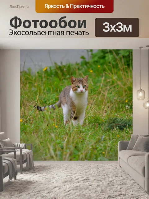 Фотообои Кошка смотрит