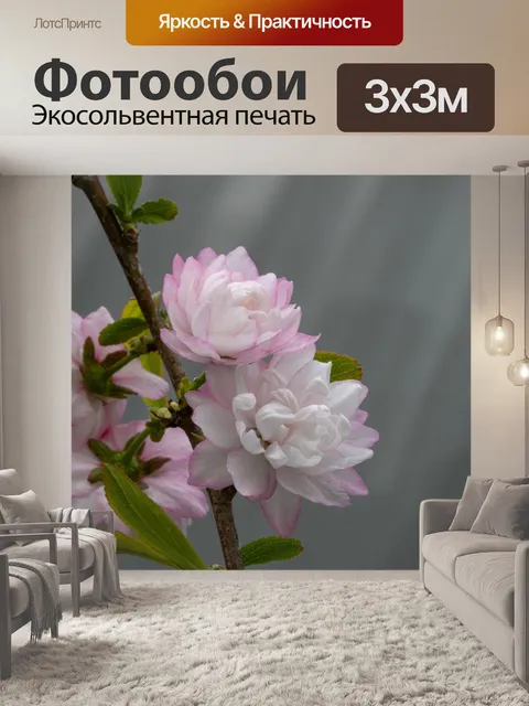 Фотообои Сливовый босс
