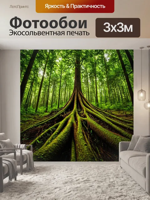 Фотообои сильные корни, структуры леса, исключительное влияние, важность экосистем