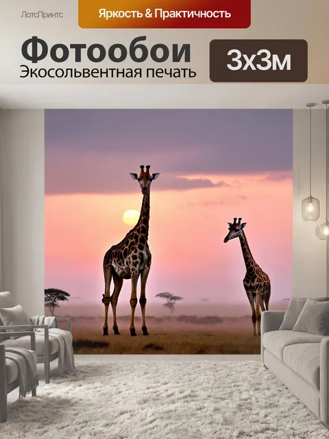 Фотообои с жирафами, стоящими на фоне красивого восхода солнца, с легким туманом, окутывающим землю и розовыми…